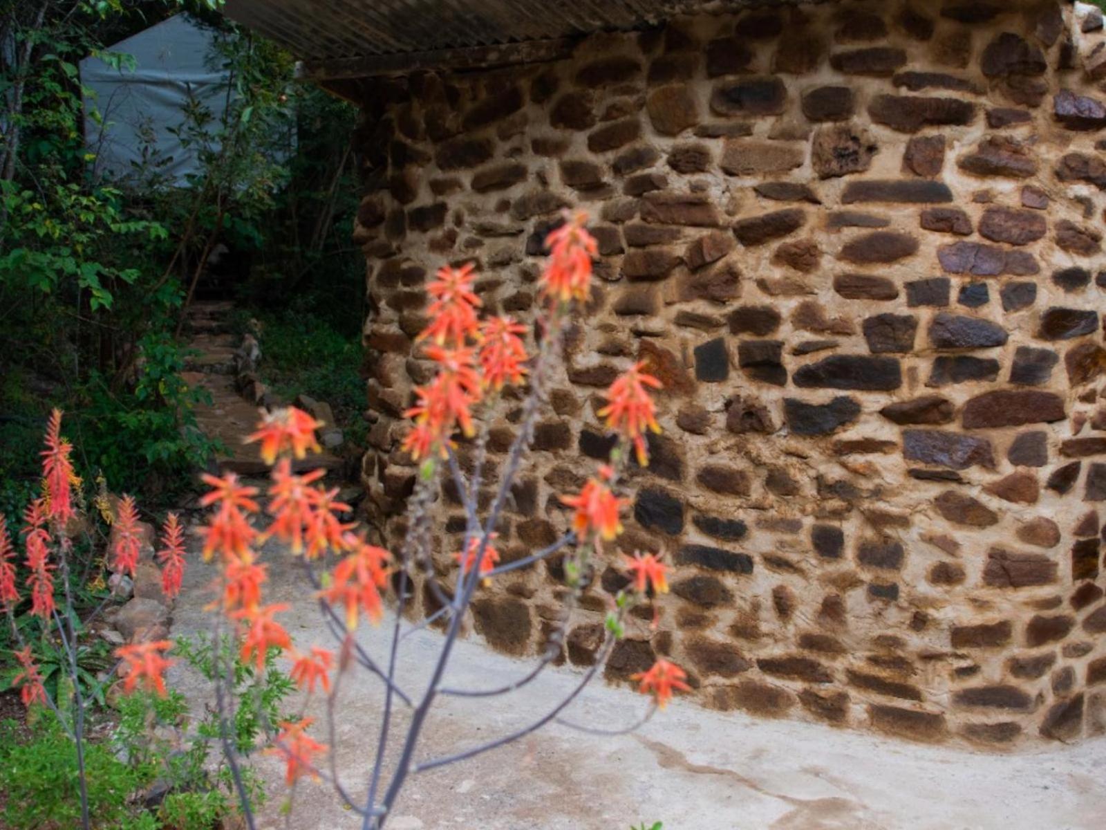 Riverbed Africa ليندبرغ المظهر الخارجي الصورة